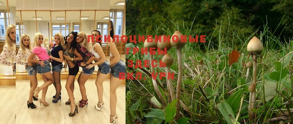 ALPHA-PVP Медвежьегорск