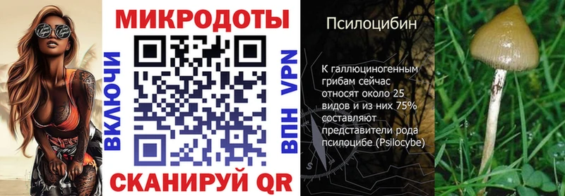 Галлюциногенные грибы Psilocybine cubensis  Купить  Йошкар-Ола 